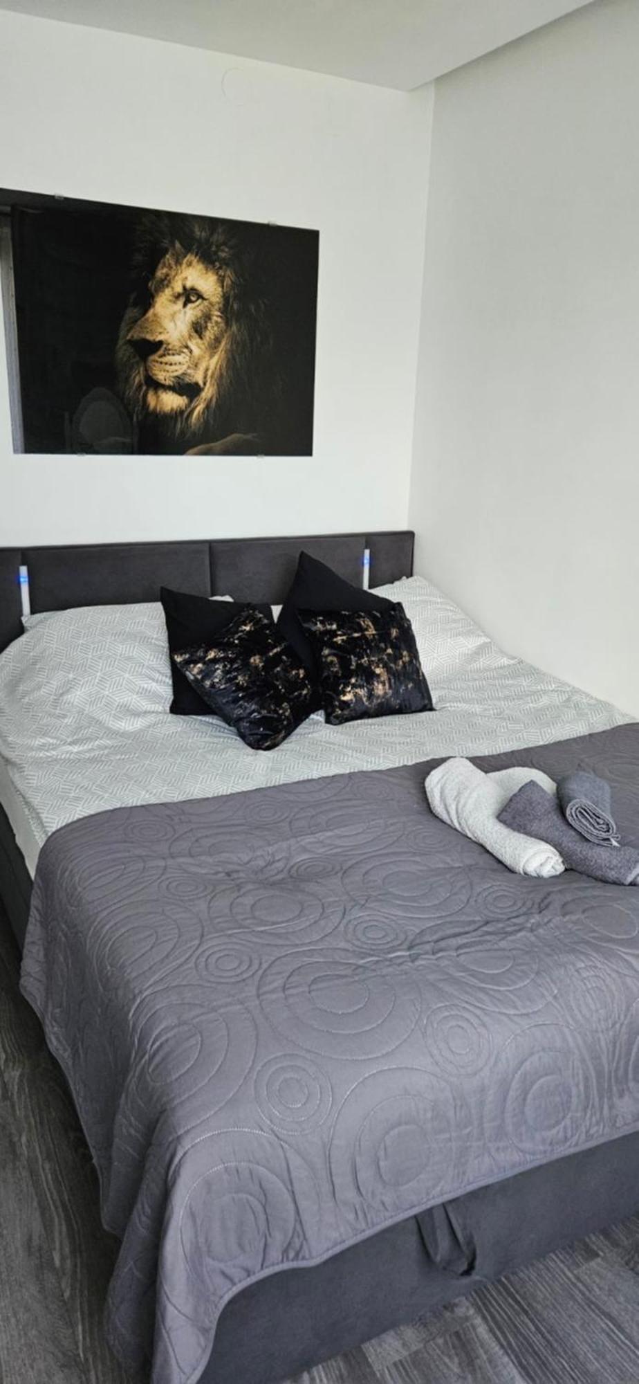 Zamość Family Apartament מראה חיצוני תמונה